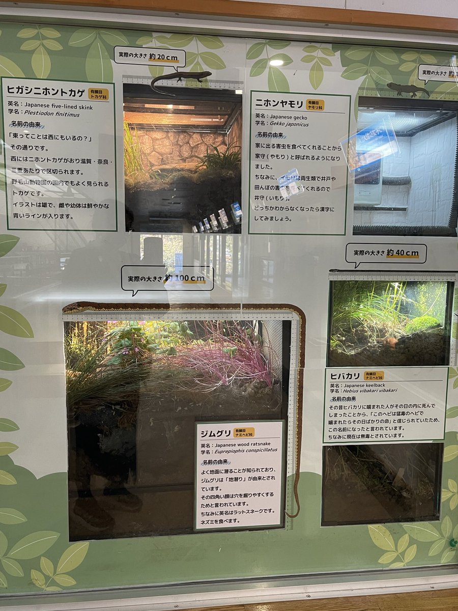 草木と小さな動物 野の花と小さな動物の刺繡 (クラフトシリーズ) | 森本繭香 |本