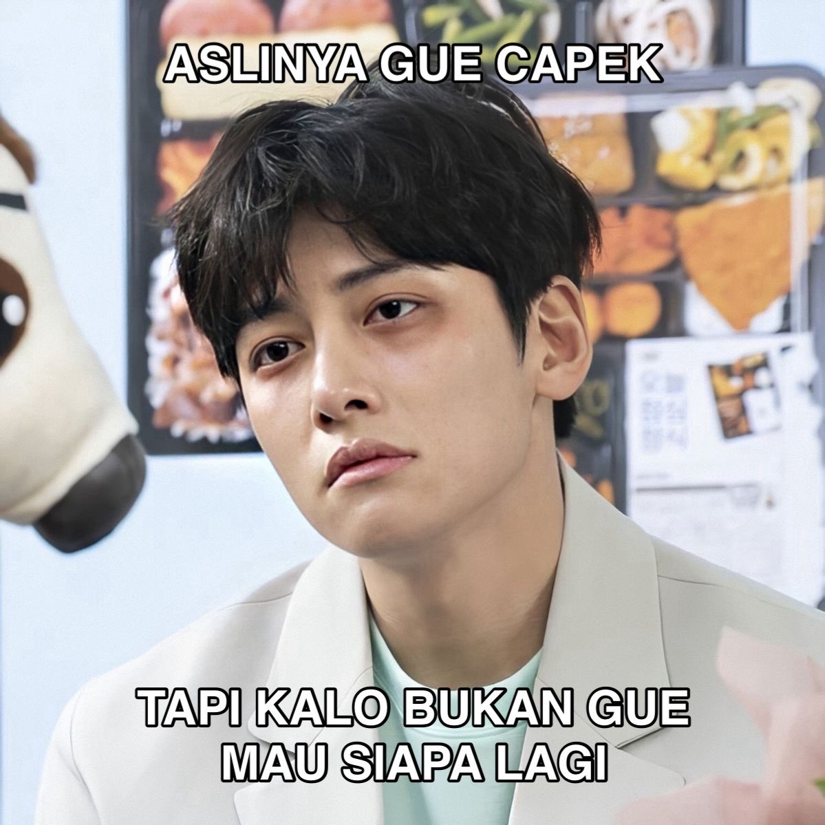 S H E L L A tweet media