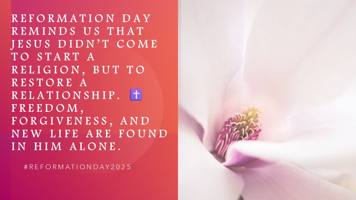 Jose R.G. (@pitzipanda) on Twitter photo 