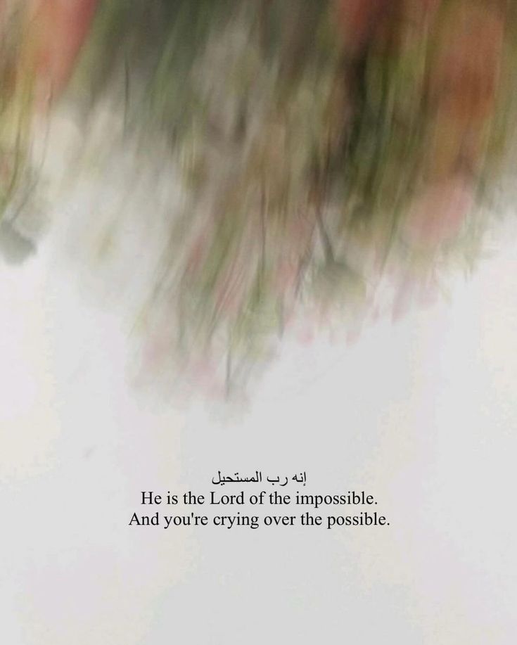 iUmmer_21's tweet image. 