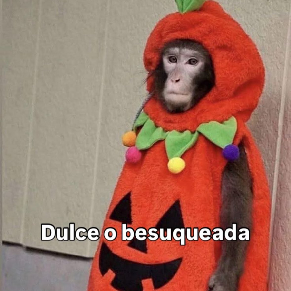 pau castro (@pauucbb) on Twitter photo 