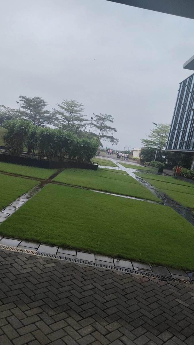 DK_Coder_Girl's tweet image. What a lovely day 🌹