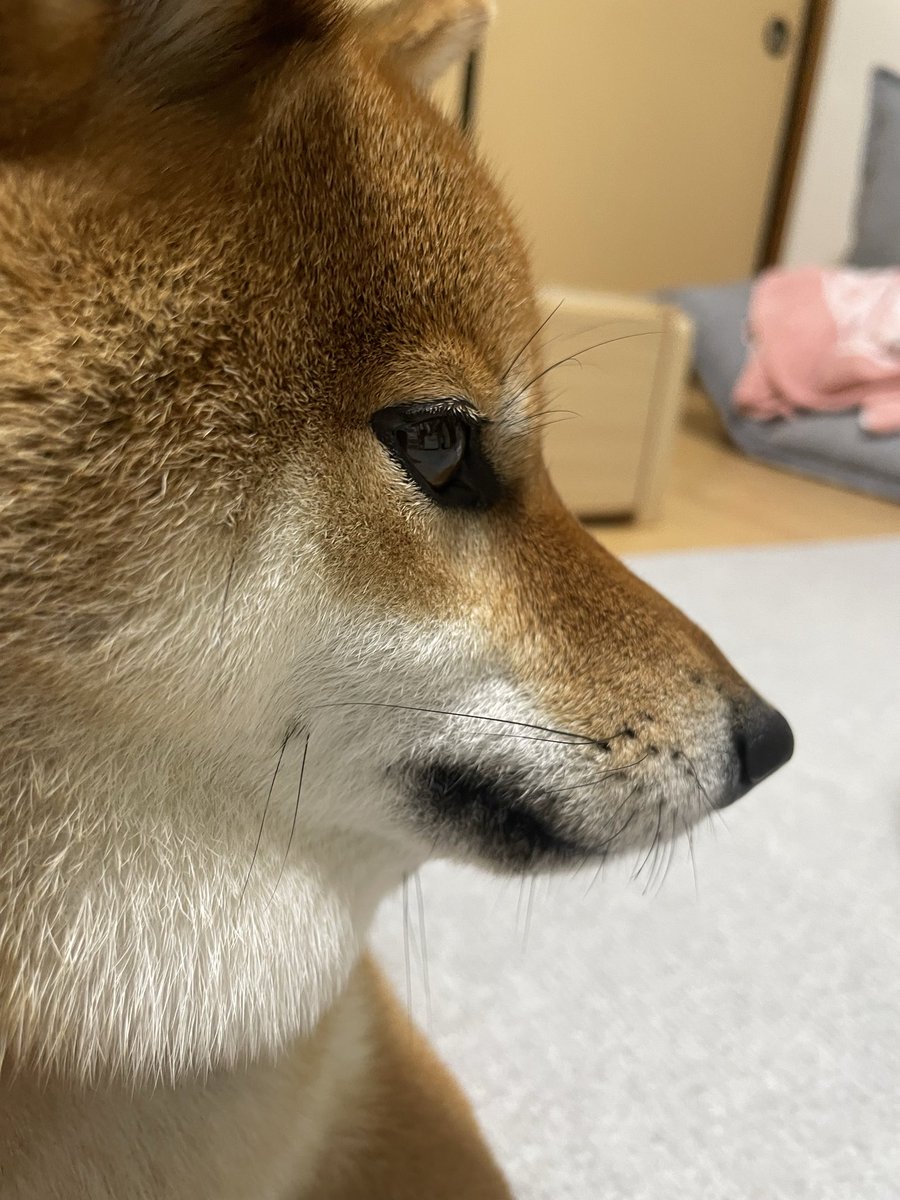southe_e's tweet photo. いけめん https://t.co/1YvURK3idU