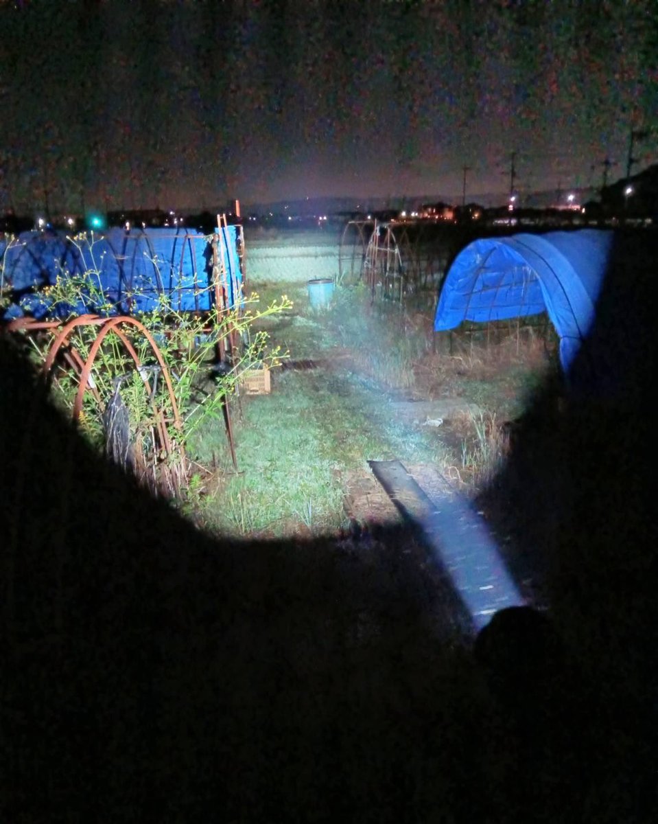 sachi@プロフにお得情報ありページ さち🌻 on X