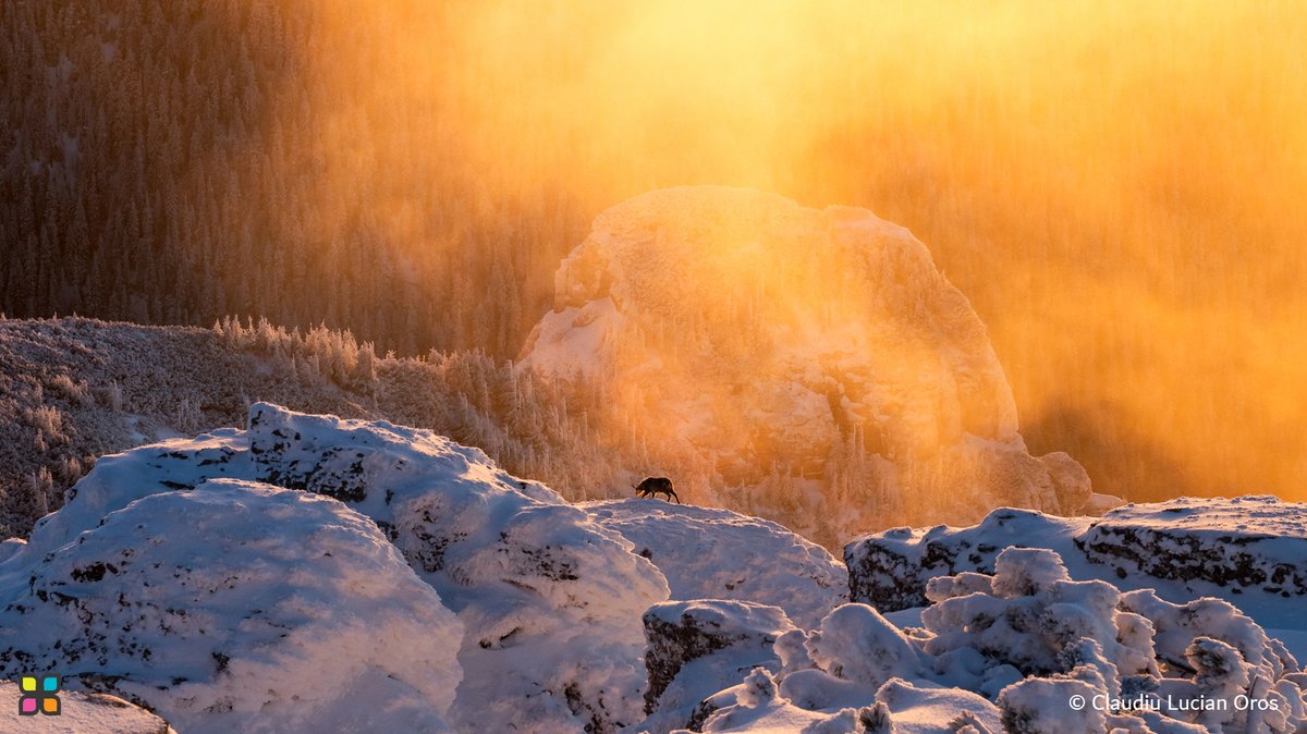 📸 #PhotoOfTheDay 

"Echoes of Ceahlau | أصداء تشاهلاو"

© Claudiu Lucian Oros | Romania

#HIPA #HIPAae #photography #photographerlovers #Romania #NaturePhotography #CaptureTheMoment