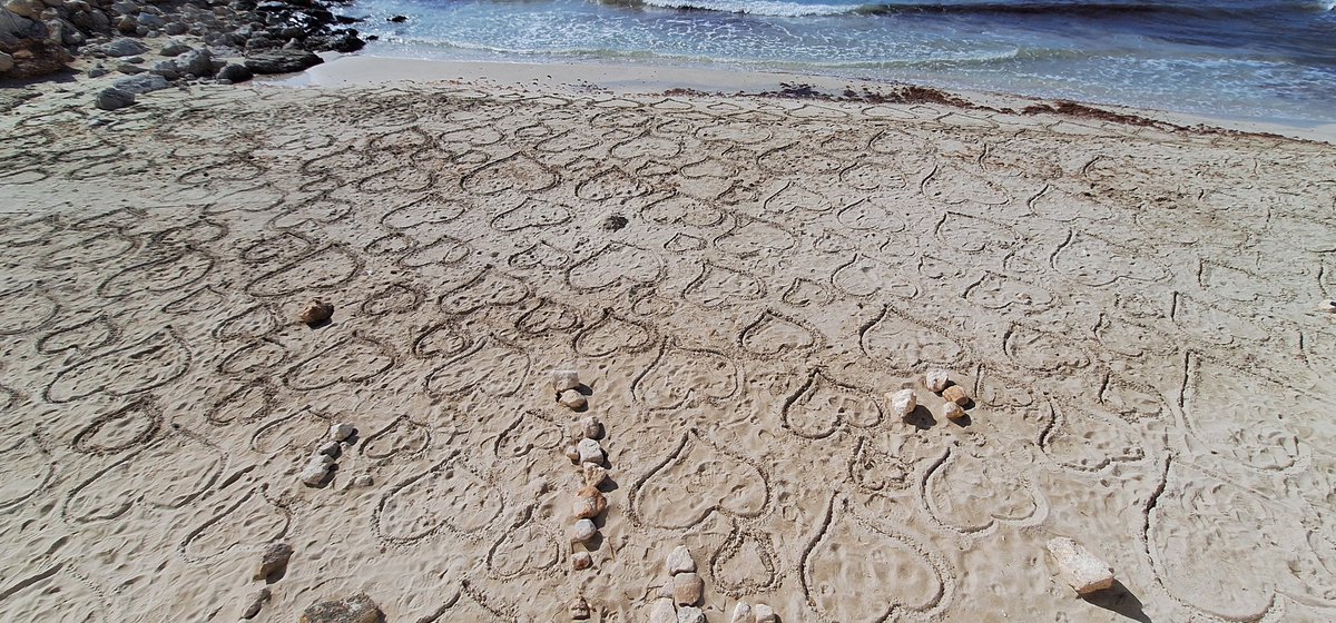 Una distesa di cuori per tutti voi...❤️

📷 mia