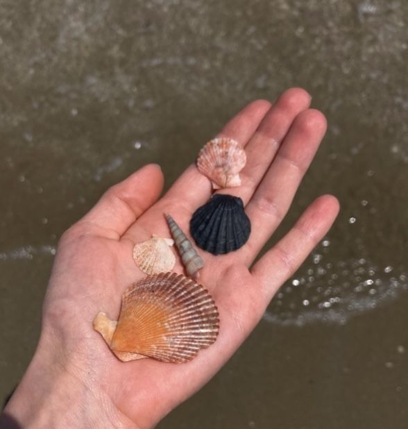 misteryegor's tweet image. 𝘞𝘦’𝘳𝘦 𝘧𝘪𝘯𝘪𝘴𝘩𝘪𝘯𝘨 𝘖𝘤𝘵𝘰𝘣𝘦𝘳 𝘰𝘯 𝘢 𝘩𝘪𝘨𝘩.