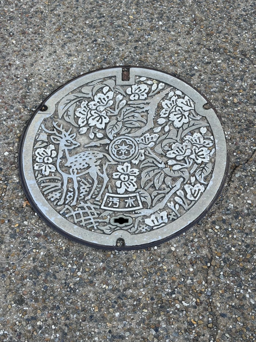 motohiko sakaguti on X