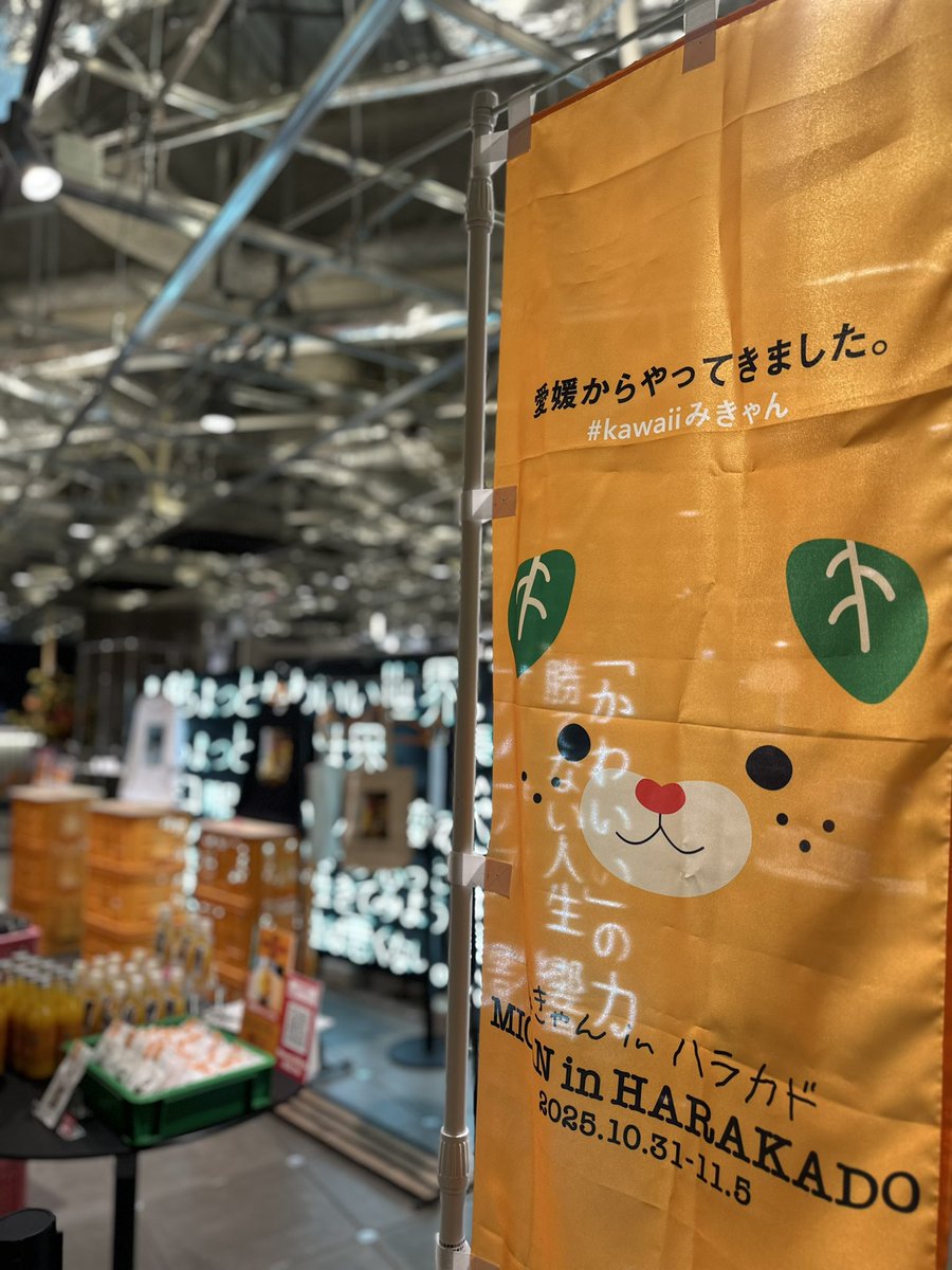 みきゃん みきゃん【公式】《愛媛県イメージアップキャラクター