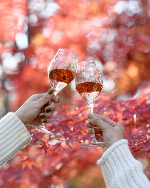紅葉の赤と、グラスの中のピンクが溶け合う午後🍁🥂

指先に伝わる冷たさ、ふんわり広がる果実の香り。
ニコラフィアット のロゼが誘う、やさしい秋の時間。

#nicolasfeuillattejapan #nicolasfeuillatte #champagne #ニコラフィアット #シャンパン #シャンパーニュ