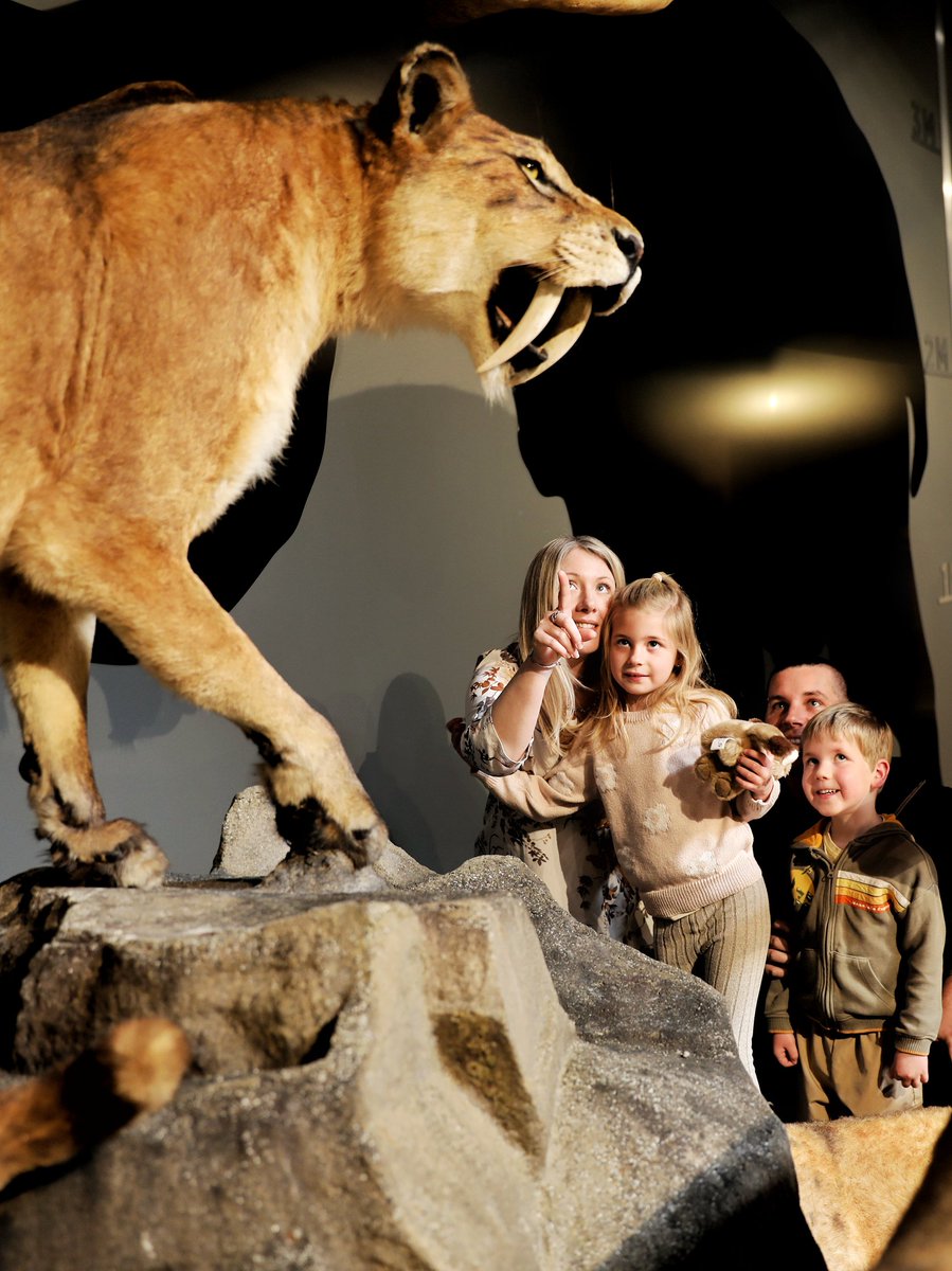 Paléosite tweet media