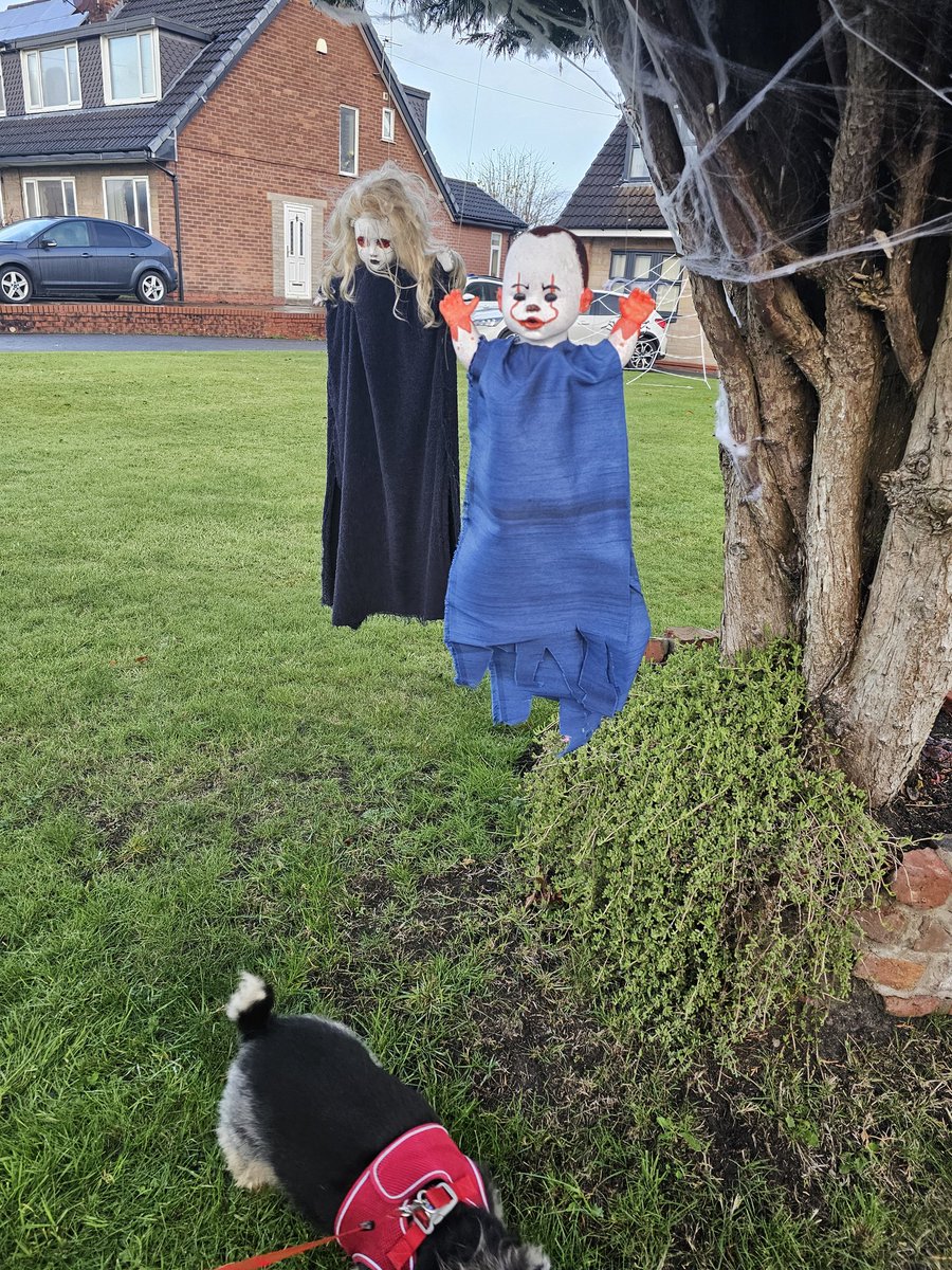 bo_boesbear's tweet photo. Wot ver dickens is fis #RAaa
No zombies allowed any patch #RAaaa #ZSHQ https://t.co/PO1aReSNpT