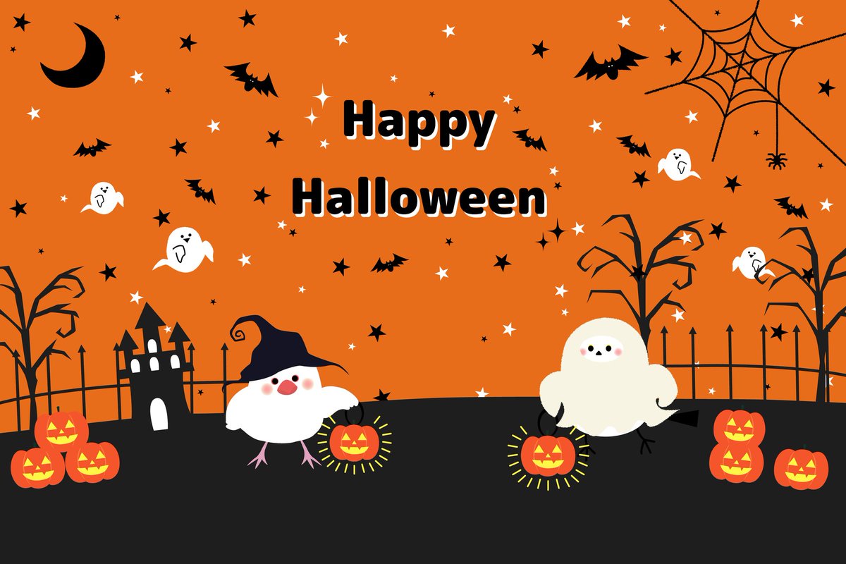kinako_clover's tweet photo. ✨再掲載✨
ちいさな文鳥さんとシマエナガさんの、ほんわかハロウィンパーティー🎃🕯️
みなさんも楽しいハロウィンとなりますように🍬🫖

#ハロウィンイラスト #鳥好きさんと繋がりたい #文鳥 #シマエナガ https://t.co/mO8GFSGNv4