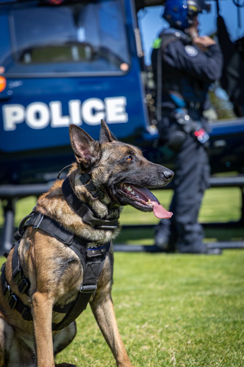Last night, Police in the Armadale district attempted to stop a vehicle which resulted in a pursuit. The vehicle was abandoned and with the assistance of PD blaze, the driver was quickly taken into custody along with 3 passengers. 

📸: @shotsfiredphotographyau