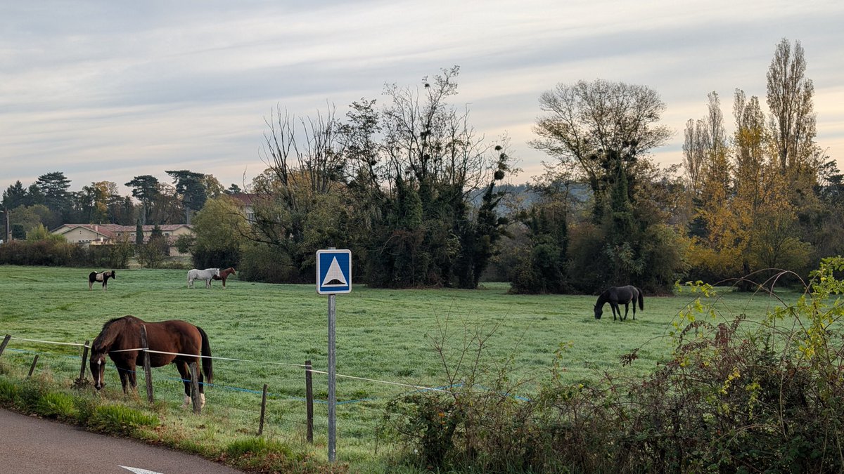 Les voisins du jour qui disent bonjour aux cyclistes ♥️