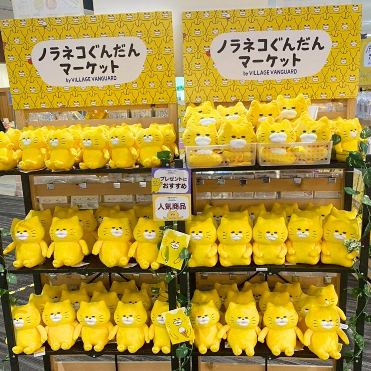 公式】ヴィレッジヴァンガード on X