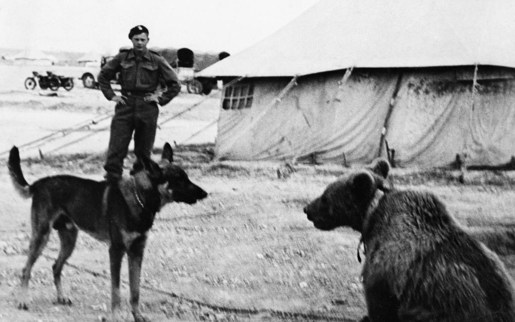 Soldaat Wojtek eet sigaretten en steelt perziken dlvr.it/TNzn9J