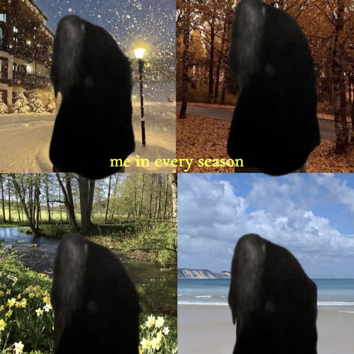 em (@manicmoonlight) on Twitter photo 