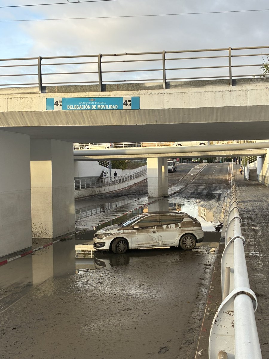 luisluque tweet media