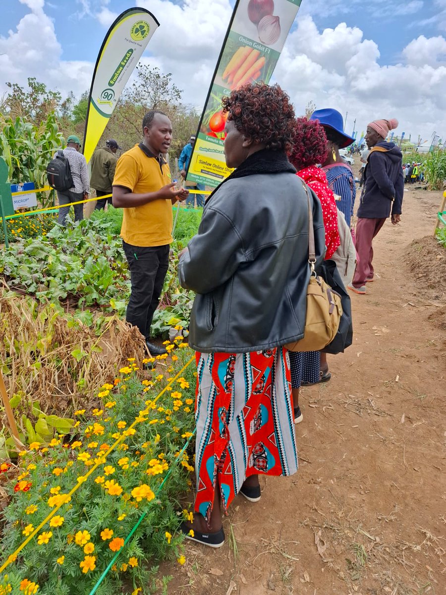 Simlaw_Seeds's tweet photo. The Makamithi Annual Field Day brought together farmers, agronomists, and agricultural experts for learning, transformation, and collaboration. Through hands-on demonstrations and product showcasing
Together, weโre cultivating knowledge.
#MakamithiFieldDay
#SimlawSeeds https://t.co/pw6m6R9d1b