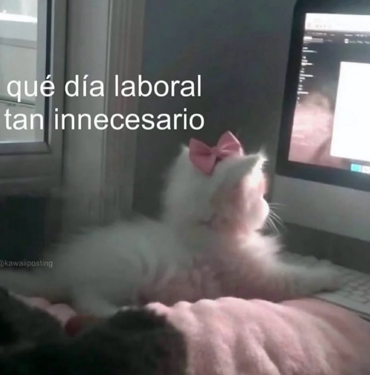 piña sin pizza (@skereunpesado) on Twitter photo 