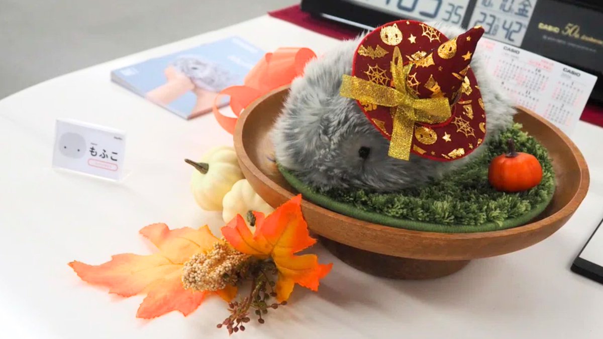 公式】Moflin（モフリン）｜感情が育つAIペット (@casio_moflin