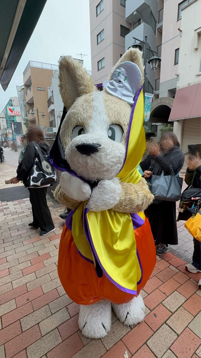 2742256CHARAMEL's tweet photo. 年一のハロウィンこーた🎃🫶
可愛いねぇ♡♡ おやつ配ってくれてありがとう〜🍇
作戦どころか、しゃけかま自体なかったねぇww
#コギこた
#平井
#td5 https://t.co/x0oOtfASok