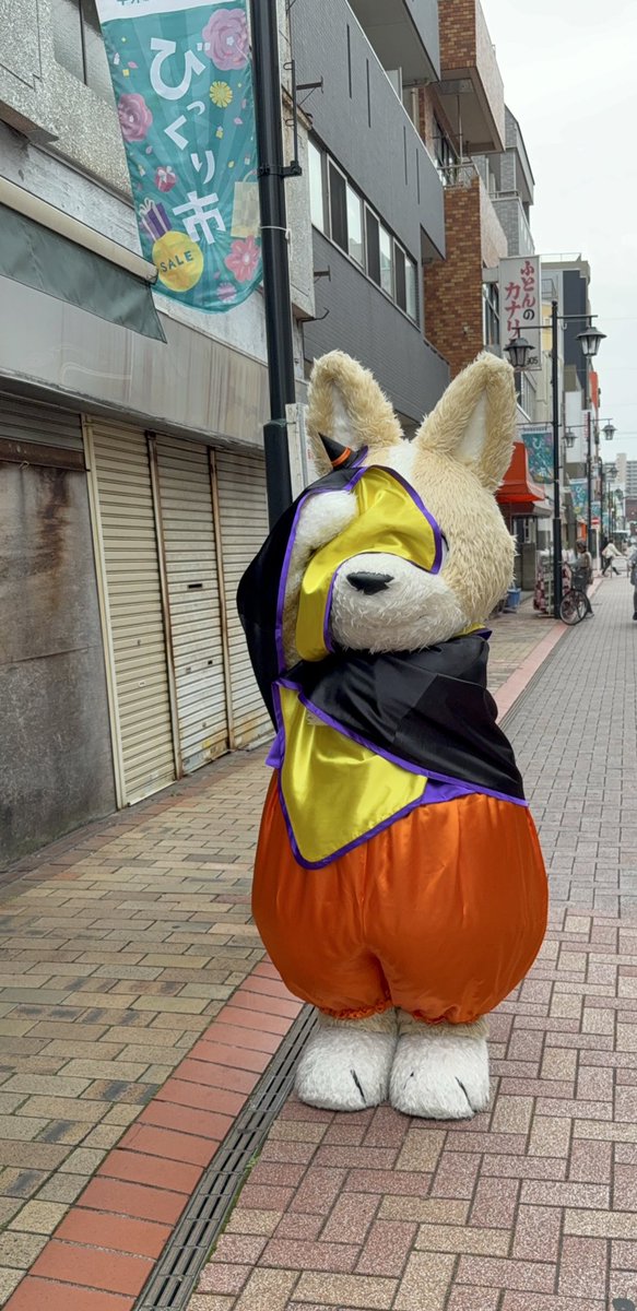 2742256CHARAMEL's tweet photo. 年一のハロウィンこーた🎃🫶
可愛いねぇ♡♡ おやつ配ってくれてありがとう〜🍇
作戦どころか、しゃけかま自体なかったねぇww
#コギこた
#平井
#td5 https://t.co/x0oOtfASok