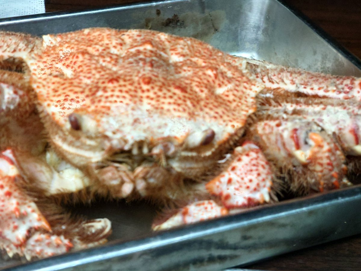 10月31日】 金曜日！ 今日は毛蟹仕入れたので酢の物に！ 良いブリ