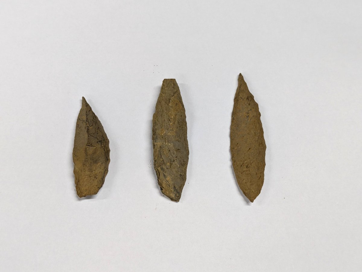 公益財団法人かながわ考古学財団 on X