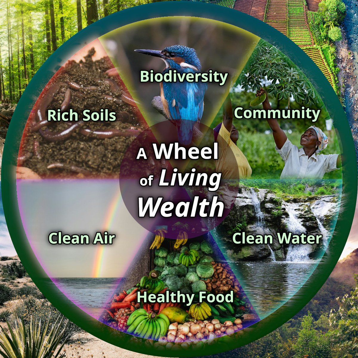 A culture that values life treasures rich soils, clean air, clear water, healthy food, biodiversity, and community. That’s Living Wealth. Time to move from extraction to regeneration. 🌍#Economy #Regeneration #ecology #environment #ecosystem #climate #biodiversity #Earth