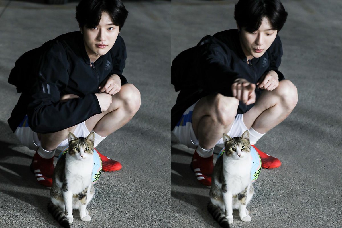 고양이 만나면 사진 꼭 찍는 남자(우즈) 좋다 ..