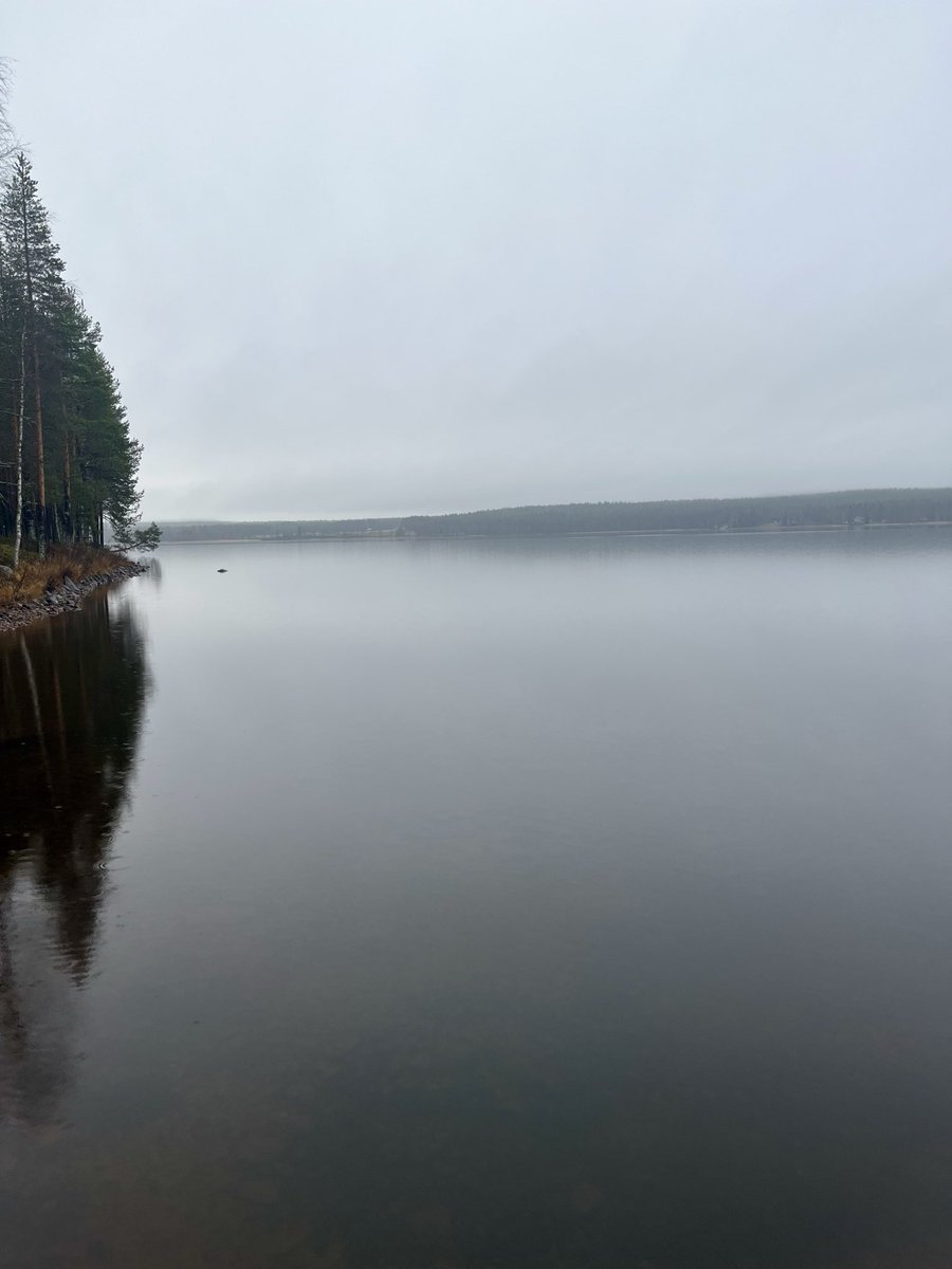 Onhan tämä harmaus ainakin rauhoittavaa.