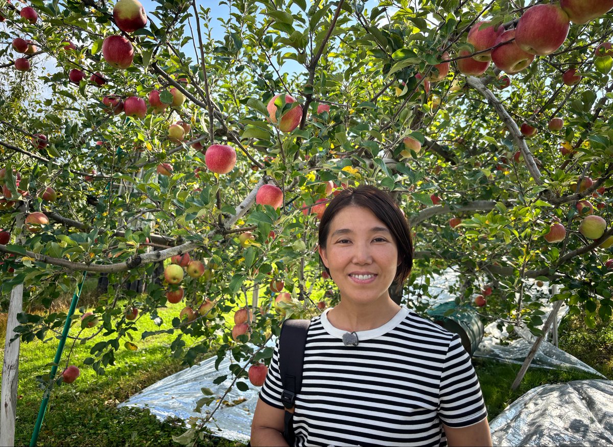 りんご母さん りんごママ🍎🍏もぎたてりんごをお届けしたい🍎🍏🍎 (@aomori_applemam
