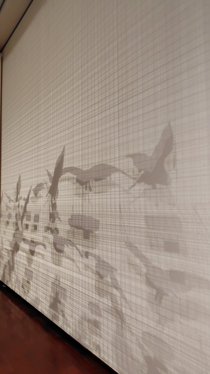 剥製　鳥 ハイタカ（メス・若鳥） | ワシ・タカ・ハヤブサ | 剥製の製作