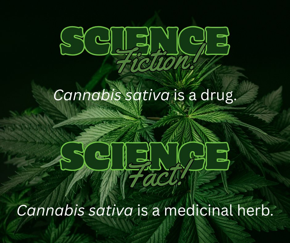 HempEdification's tweet photo. ๐ฑCannabis sativa is a medicinal herb
๐ฑ๐ฟCannabis can also be classified as a vegetable!
๐ฑ๐ฟ๐ฅฆ#Cannabissativa
๐ฑ๐ฟ๐ฅฆ๐#Herbalmedicine
๐ฑ๐ฟ๐ฅฆ๐๐ฒ#Phytocannabinoids https://t.co/Tt813llTth