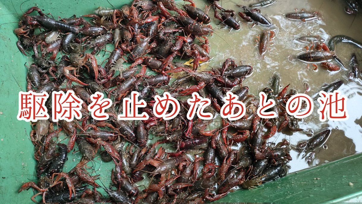 もぐC@半額おじ (@mogushit) / Posts / X