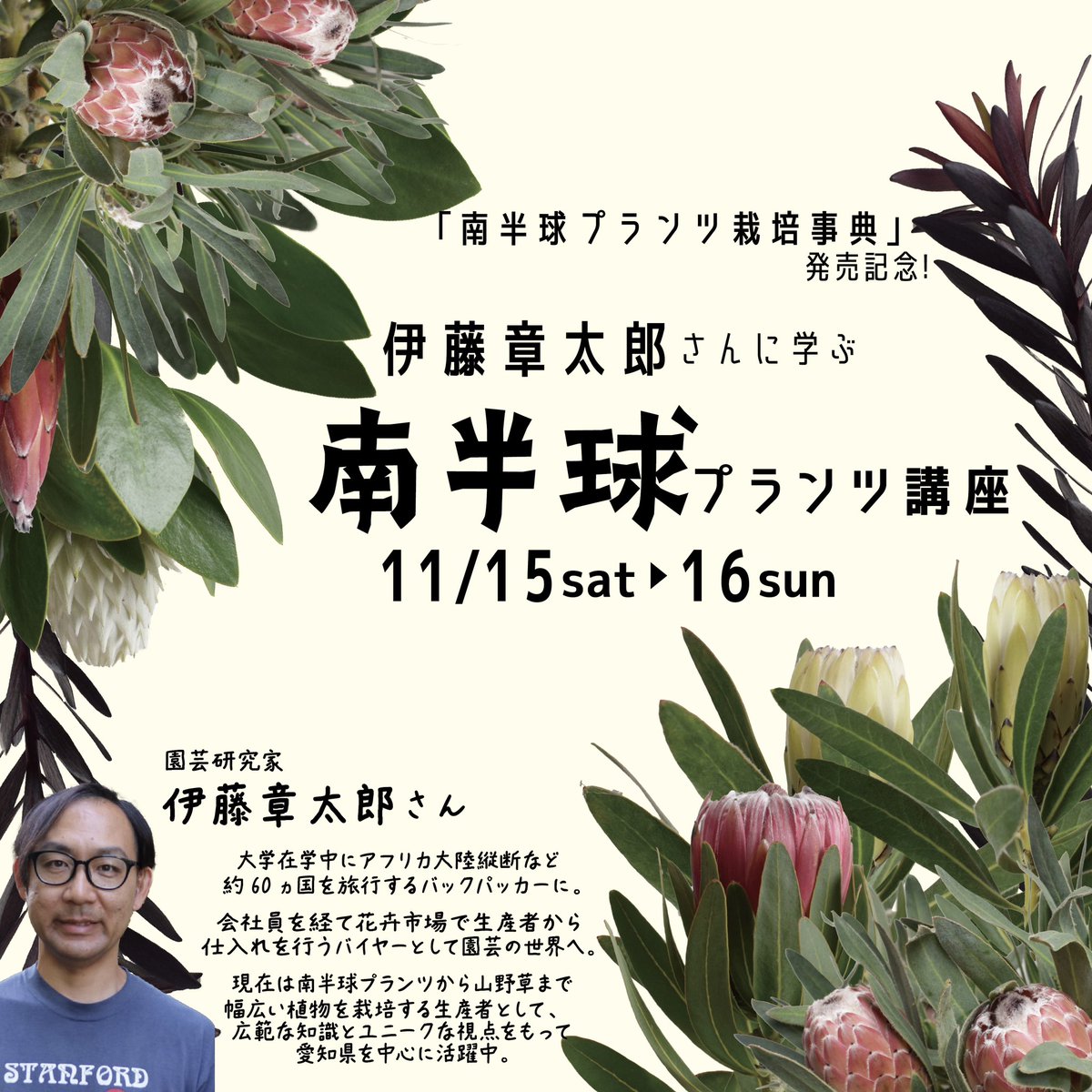 グラフィック社 編集部 on X