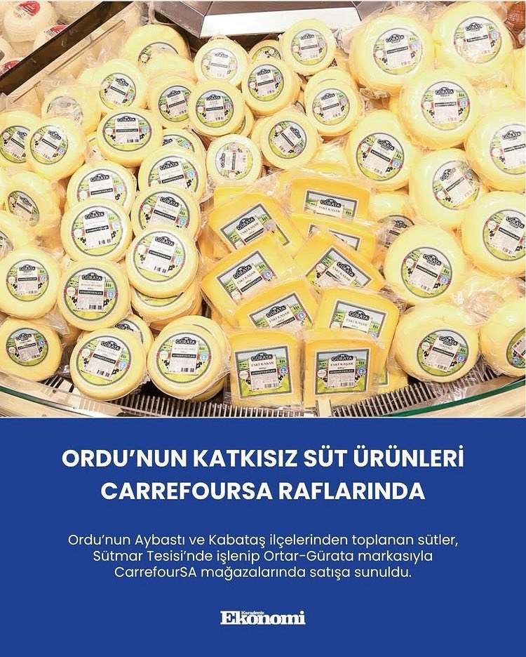 Ülkenin en fazla ihtiyaç duyduğu sağlıklı ve yöresel gıda üretimi çok önemlidir. Aybastı ve Kabataş ilçelerinde kırsal kesimlerden toplanarak işlenen sütlerin işlenmesi sonucunda üretilen çeşitli peynirler artık marketlerde görücüye çıkmış. Emeği geçen herkese teşekkür ediyorum.