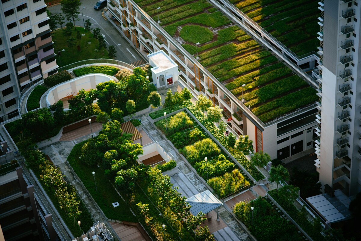 BEE__inc's tweet image. Maintaining Living Architecture: Best Practices for Green Roof and Bioswale Management dlvr.it/TNznxk #ConsciousEngineering #sustainability #greenbuilding