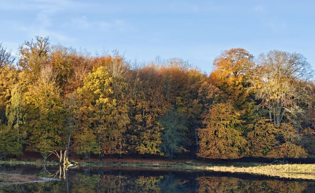 _Frodda's tweet image. Godmorgon x, bilder från i morse och somras