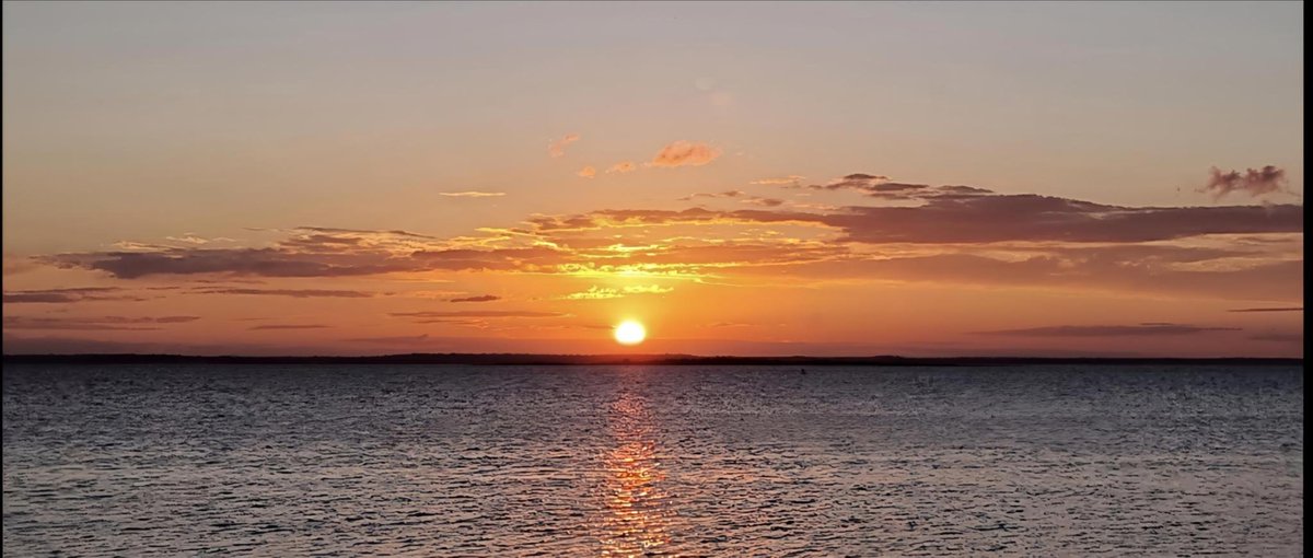 _Frodda's tweet image. Godmorgon x, bilder från i morse och somras