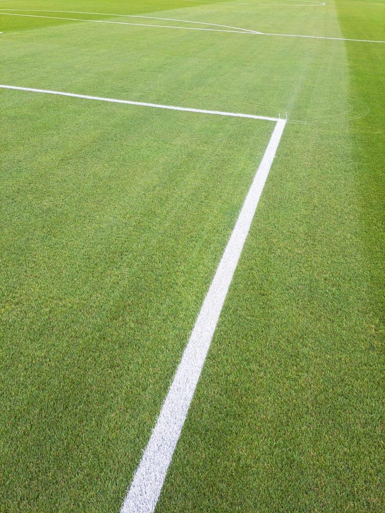 George Bassett tweet media