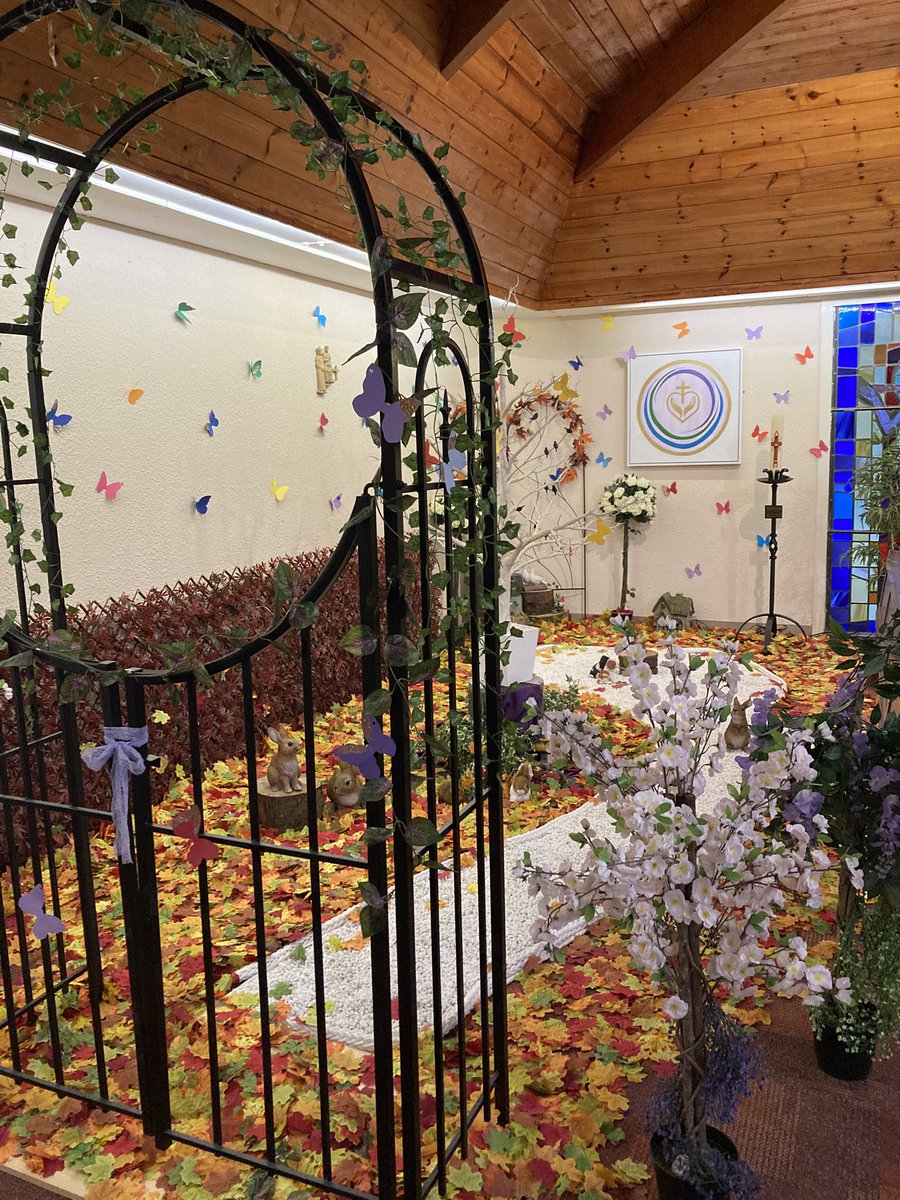 mikegosullivan's tweet image. Our remembrance garden in our beautiful chapel in work. We are blessed to have it ❤️#chapelofchristoursaviour #corkuniversityhospital #allhallowseve