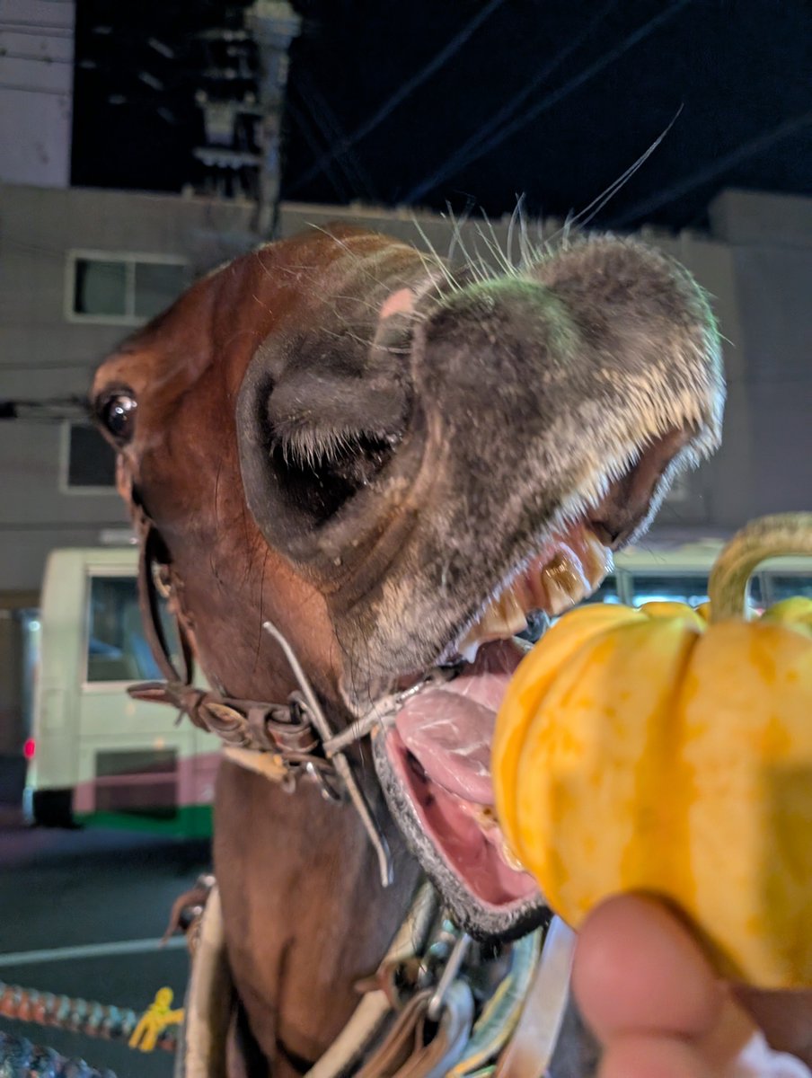 はる@馬車の人 (@hrngEzGaciDGiFd) / Posts / X