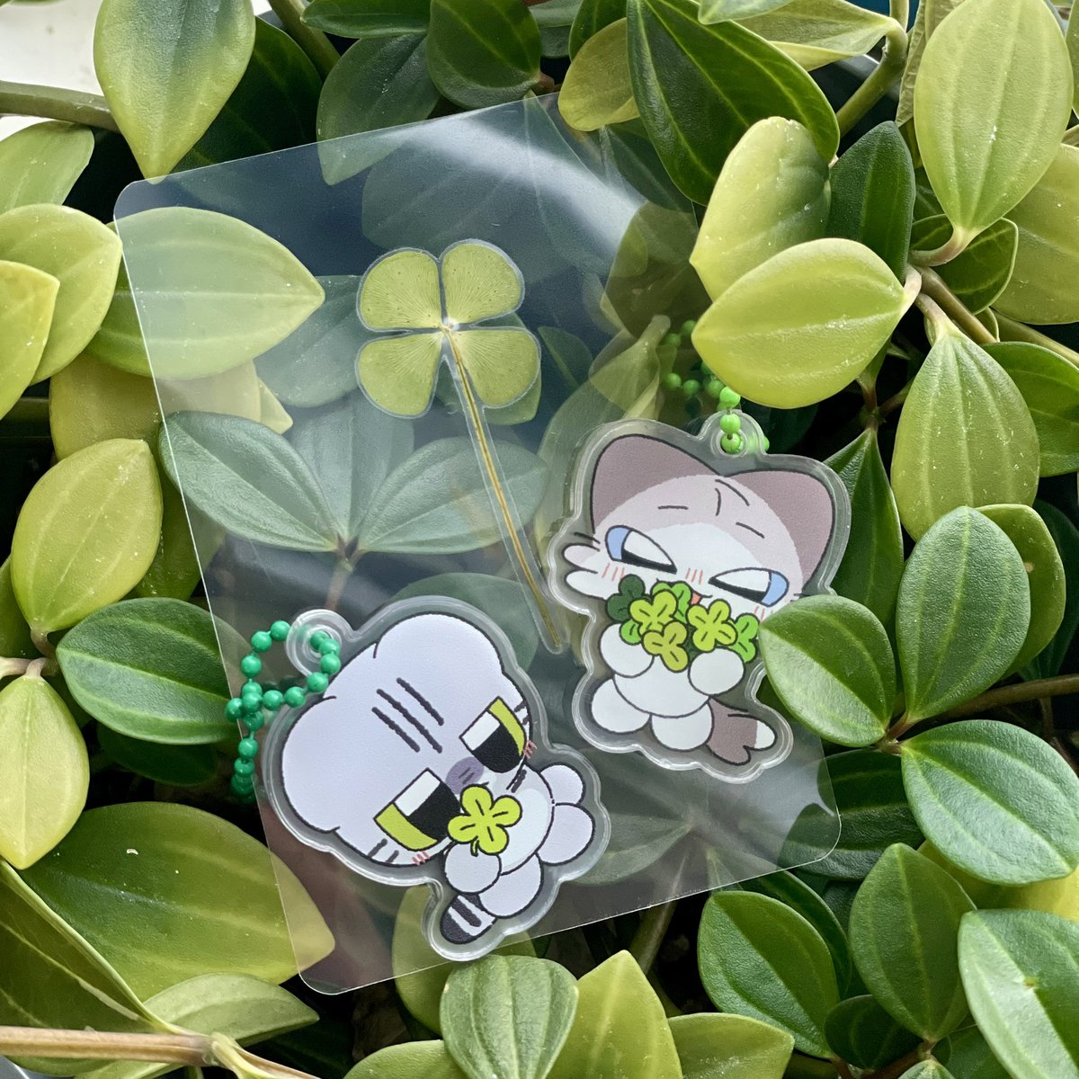 vere_dding's tweet image. 집사를 위해 심었어!
🍀🍀☘️☘️🍀🍀☘️☘️🍀🍀☘️☘️🍀
모든 집사님들의 행복과 행운을 바라며작은 행운들을 나눠봅니다
#RT추첨 10명에게 네잎클로버와 베레 혹은 딩딩이키링(택1)을 선물로 드려요

당발은 일요일 저녁 혹은 월요일에 진행 후 준등기로 보내드립니다