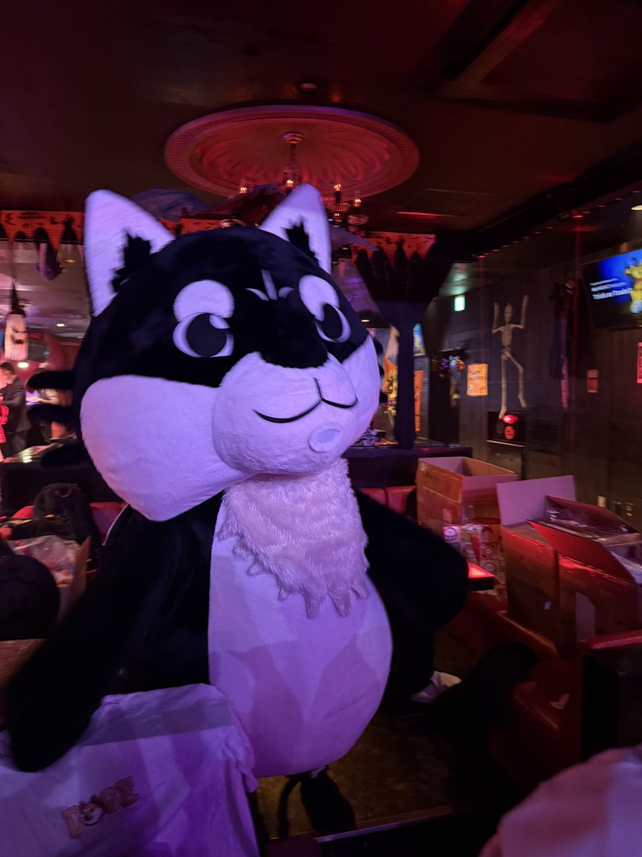 altugislerEN's tweet photo. @MEXC_Japan  Doge Day Halloween with MEXC Ventures — Trick or Trade？#MEXC0fee #MEXCEventRocks https://t.co/RgLjKniOqZ https://t.co/oLklONzOlz