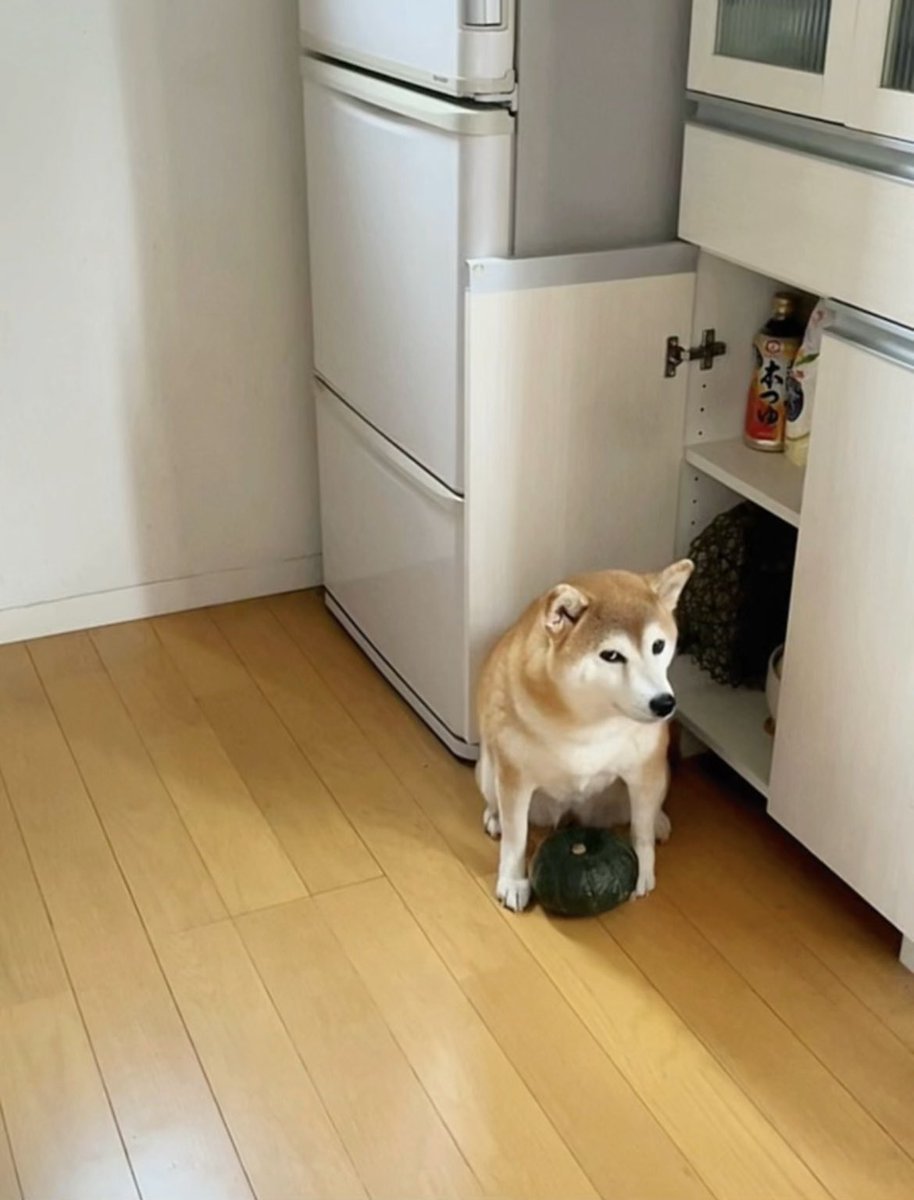 正直、かぼちゃは返してほしい