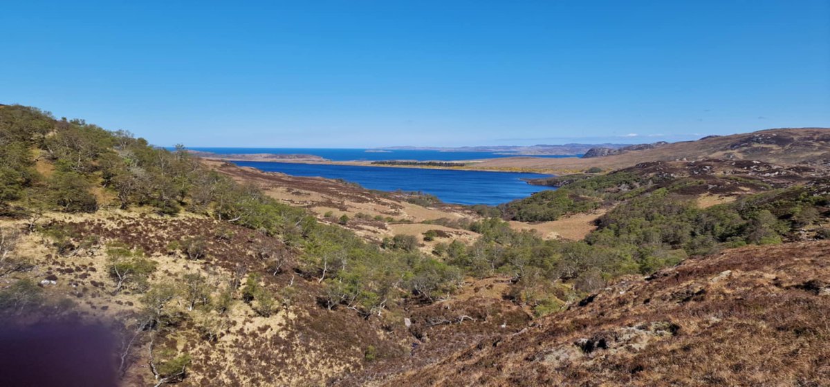 WSFTrust's tweet image. The clocks have gone back, the fishing season is finished and it&apos;s time to snuggle up in front of the fire dreaming about the lochs and rivers of Sutherland. Help is here, with #FridayChallenge, but where were we?