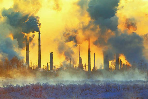 Extinction Rebellion Global tweet media